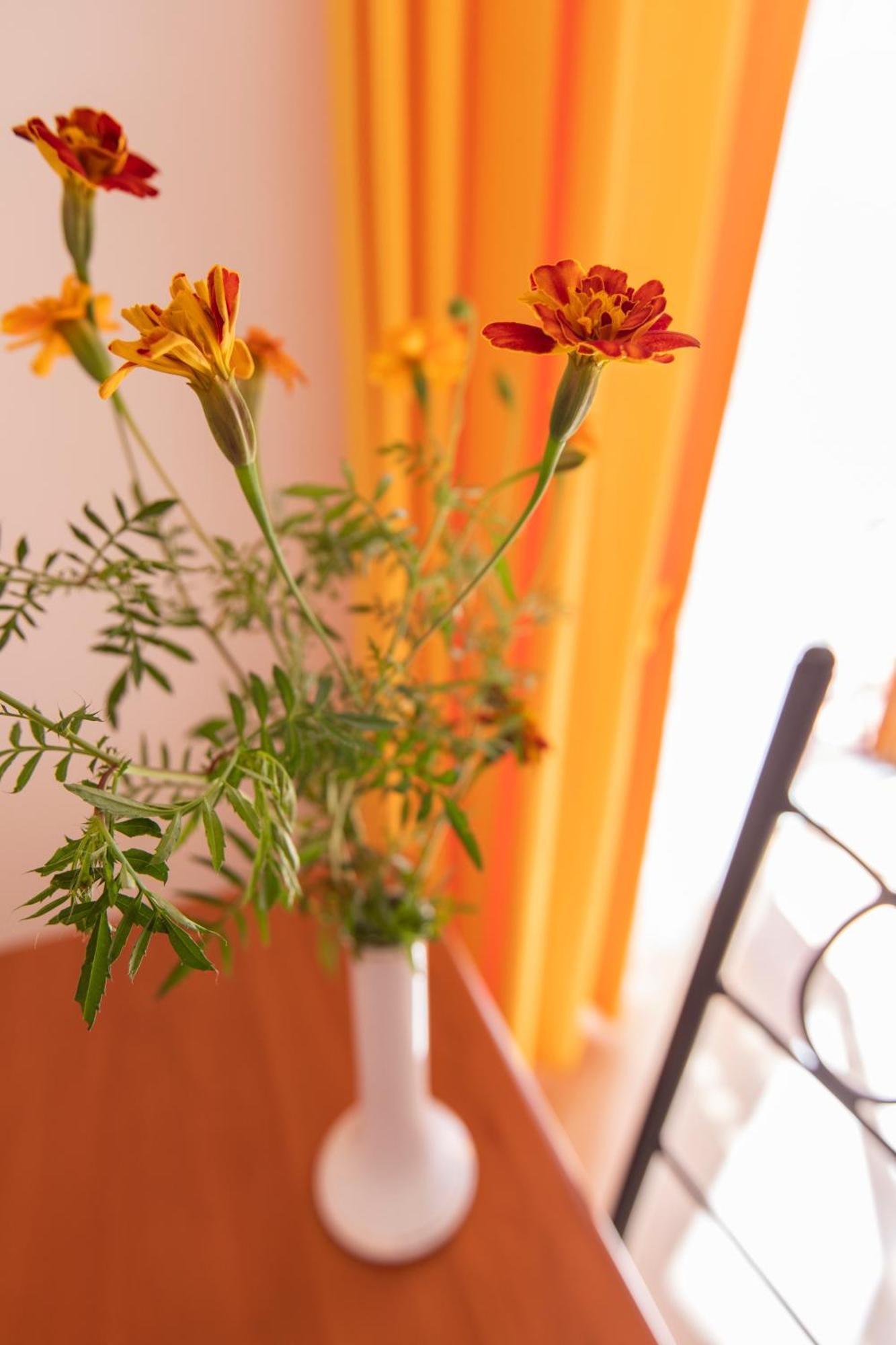 Sant'Anna Bed & Breakfast Agerola Dış mekan fotoğraf