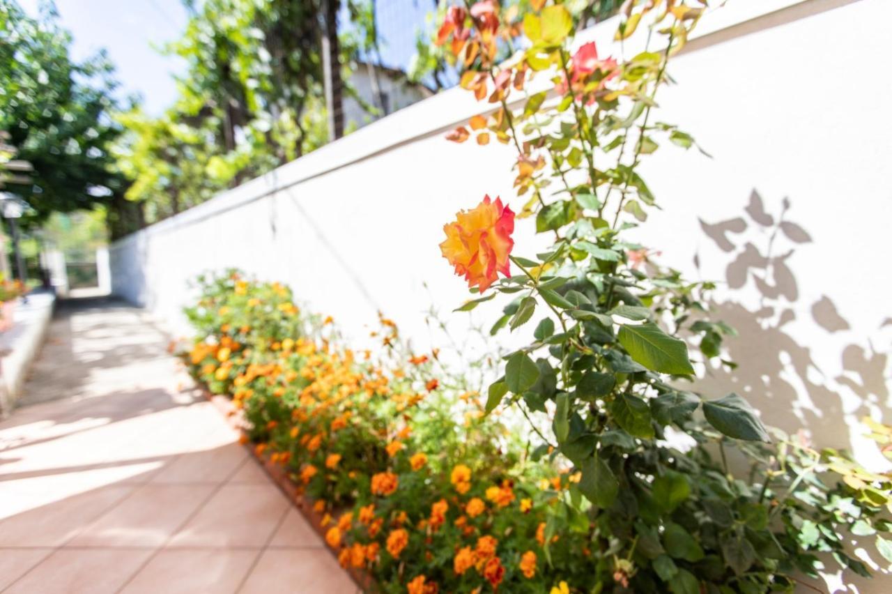 Sant'Anna Bed & Breakfast Agerola Dış mekan fotoğraf